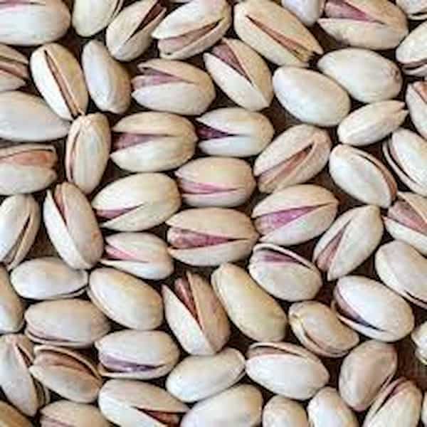 معرفی پسته شامی تازه  + بهترین قیمت خرید